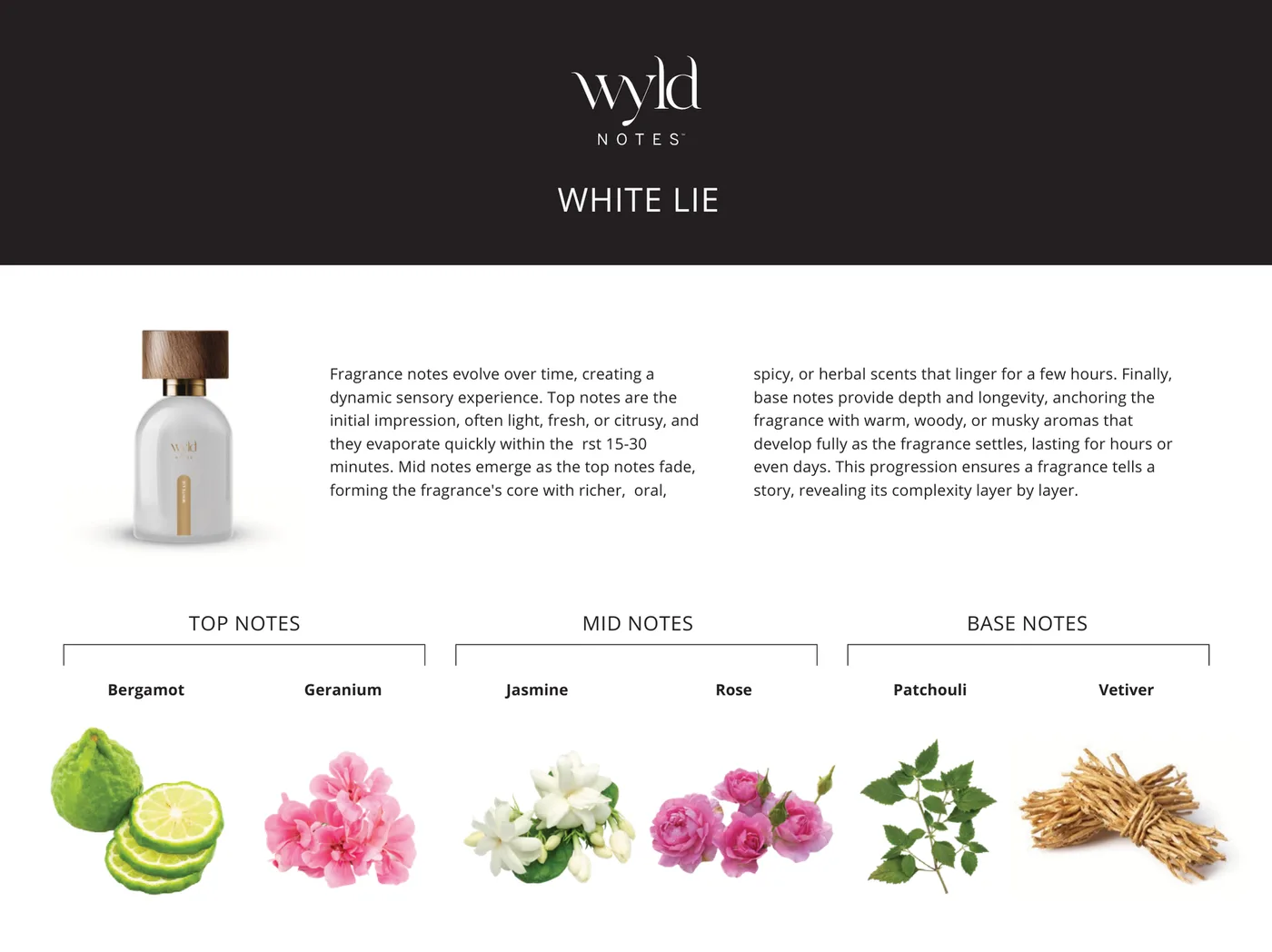 White Lie · Note für Note